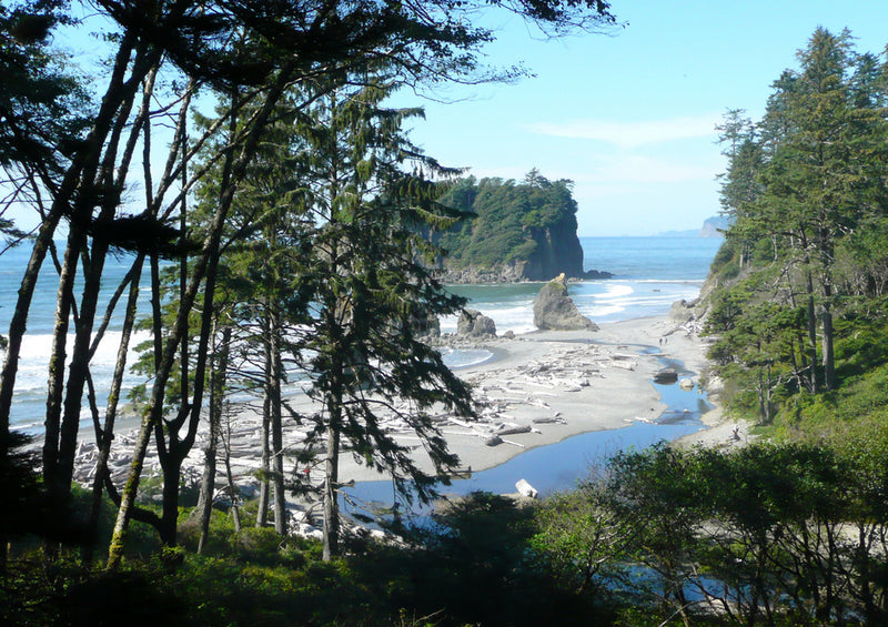 81240 Natur - Ruby Beach