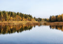 70015 Natur - Finnland