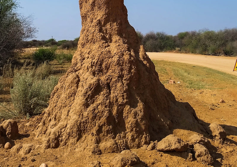 79858 Natur - Namibia