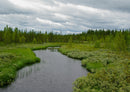 69469 Natur - Finnland