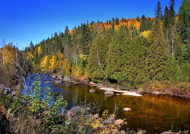 37811 Natur - Herbstliche landschaft