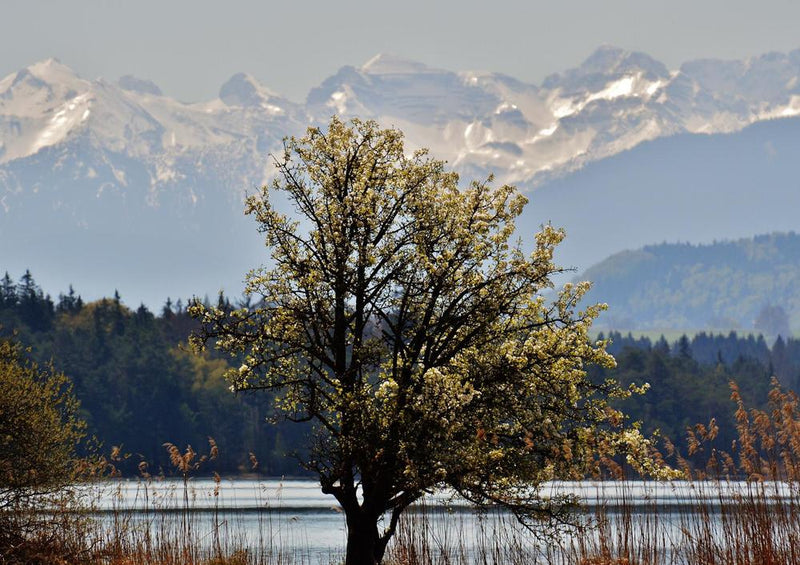 22480 Natur - Ostersee