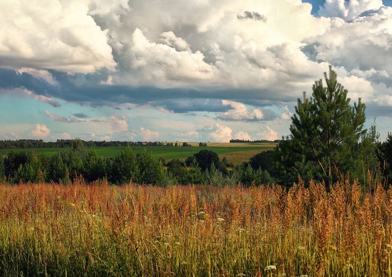 45505 Natur - Landschaft