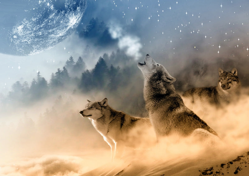 35420 Tierwelt - Wolf