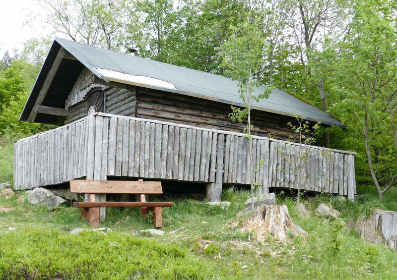 18636 Natur - Harz-Haus