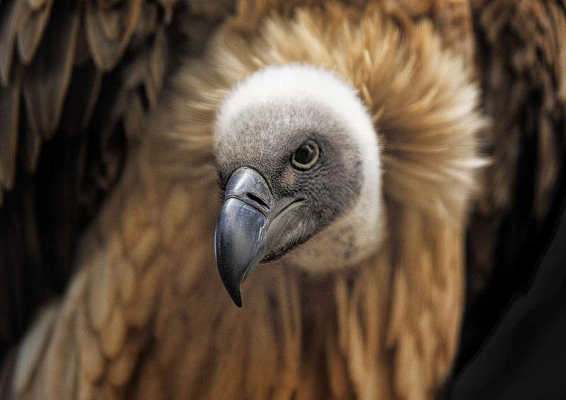 80718 Natur - Strauß