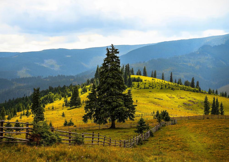 17303 Natur - Baum