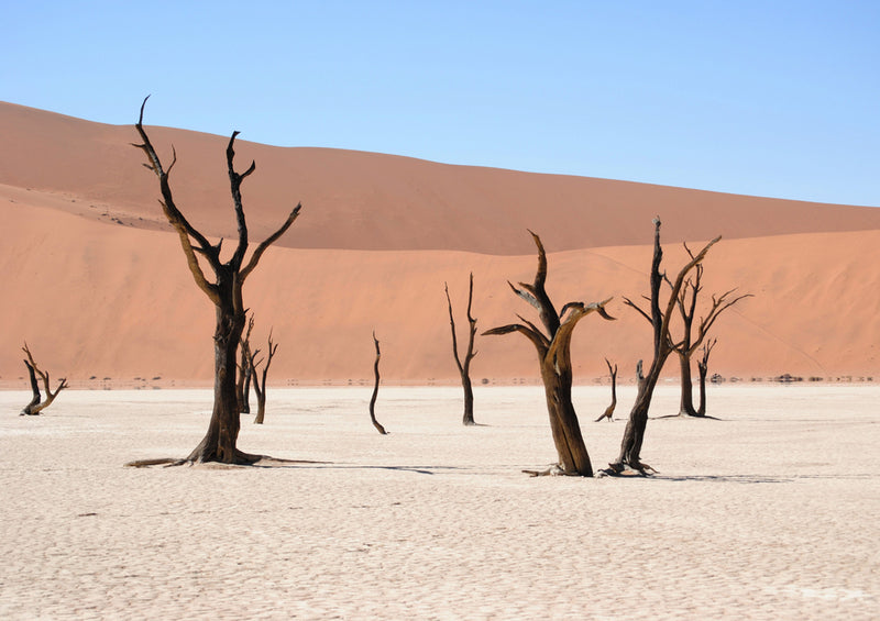 80457 Natur - Namibia