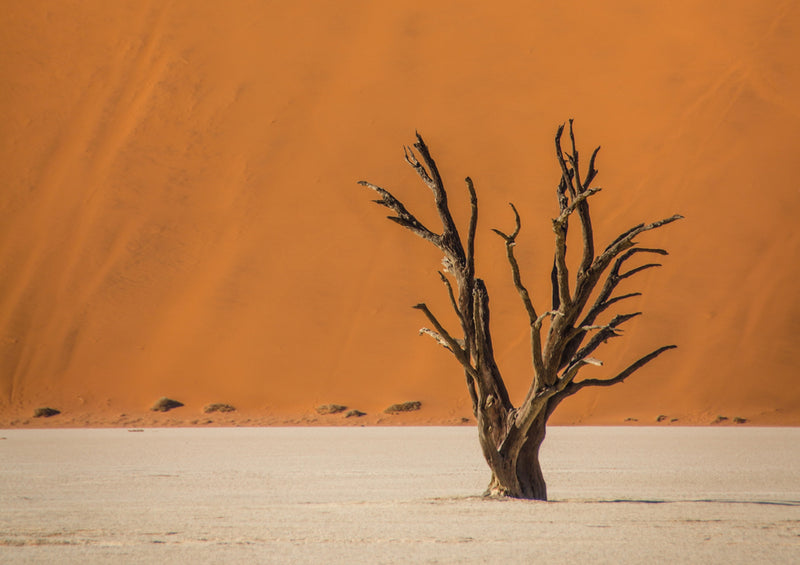 79365 Natur - Namibia