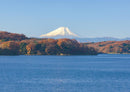 17978 Natur - Mount Fuji