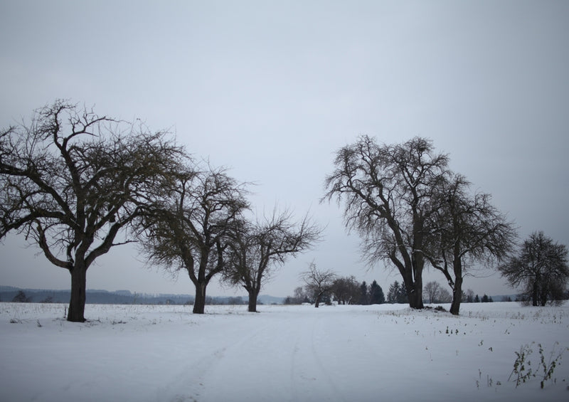 37445 Natur - Winter