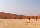 77562 Natur - Namibia