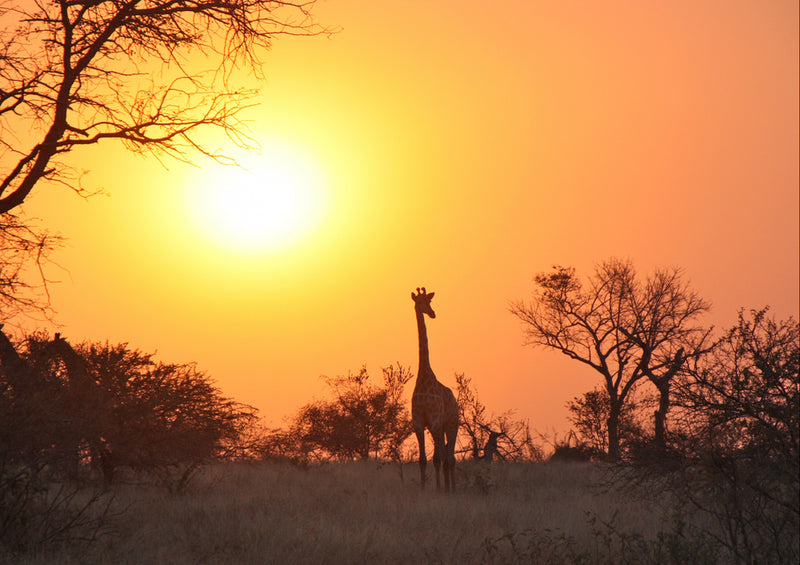 79361 Natur - Sonnenuntergang