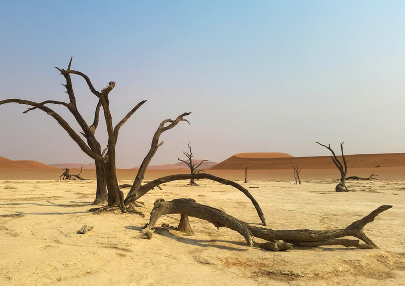 83588 Natur - Namibia