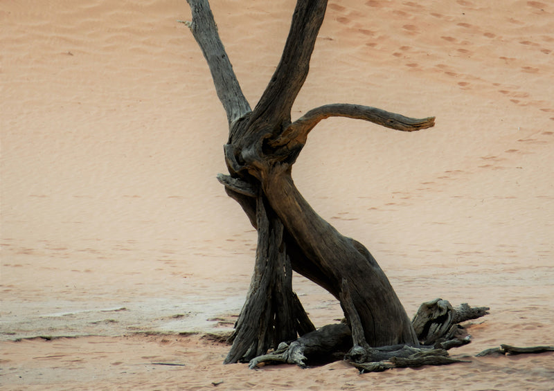 80429 Natur - Namibia