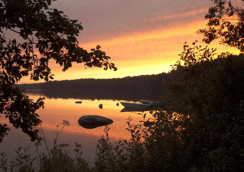 18398 Natur - Abendstimmung