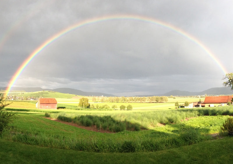 36037 Reisen - Regenbogen