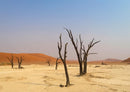 77398 Natur - Namibia