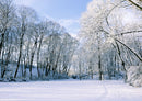 37438 Natur - Winter
