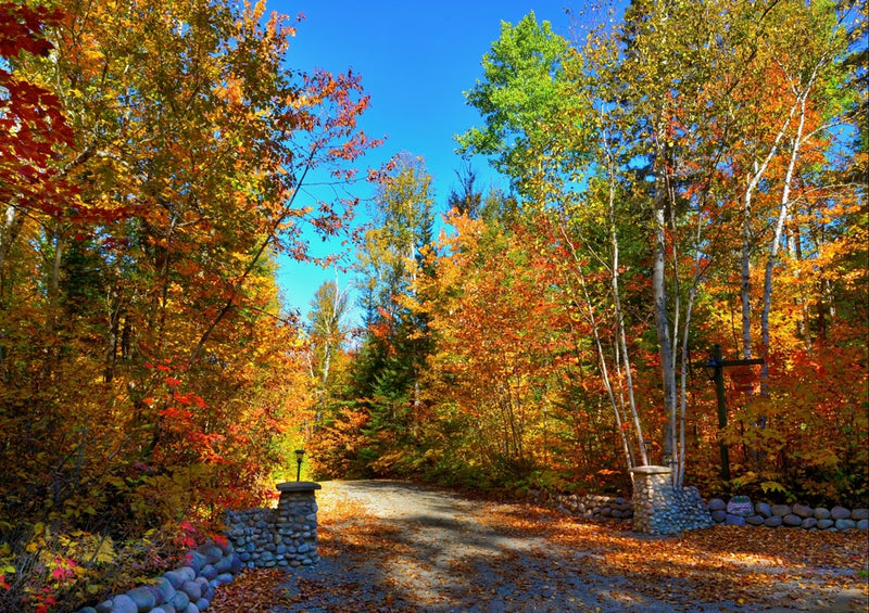 45219 Natur - Herbstliche landschaft