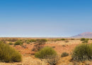 74391 Natur - Namibia