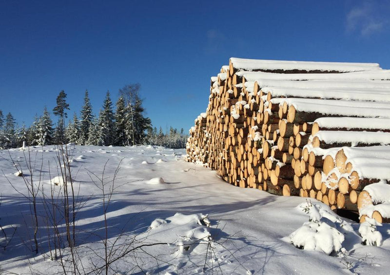 23191 Natur - Holzstapel im Schnee