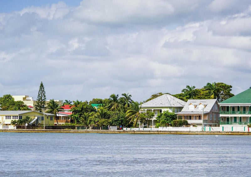 31366 Natur - Belize city