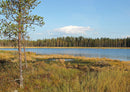 69790 Natur - Finnland