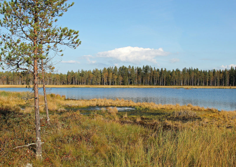 69790 Natur - Finnland