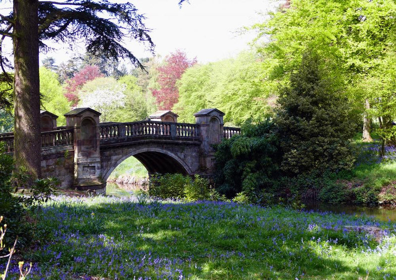 21696 Natur - Brücke im Park