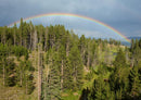 19825 Natur - Regenbogen