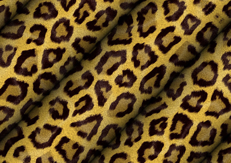 76912 Hintergründe - Leopard