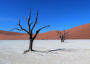 70645 Natur - Namibia