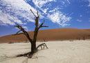 77040 Natur - Namibia
