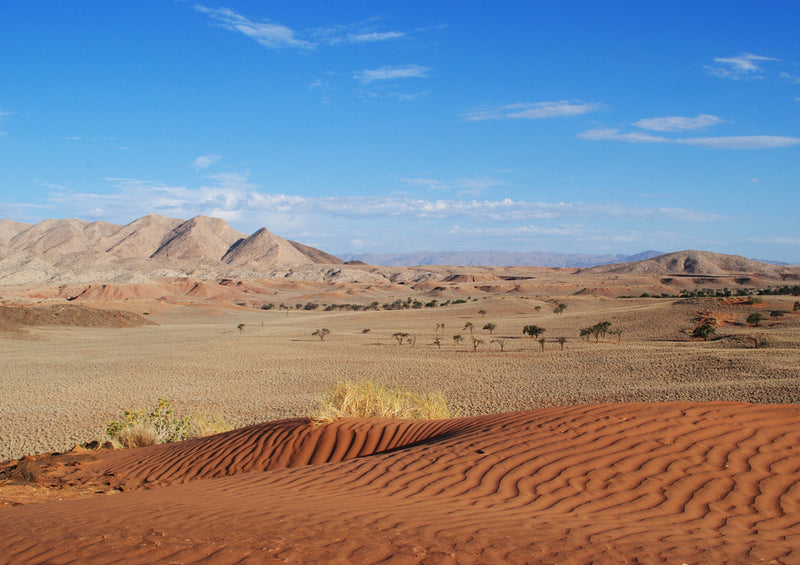 84247 Natur - Afrika