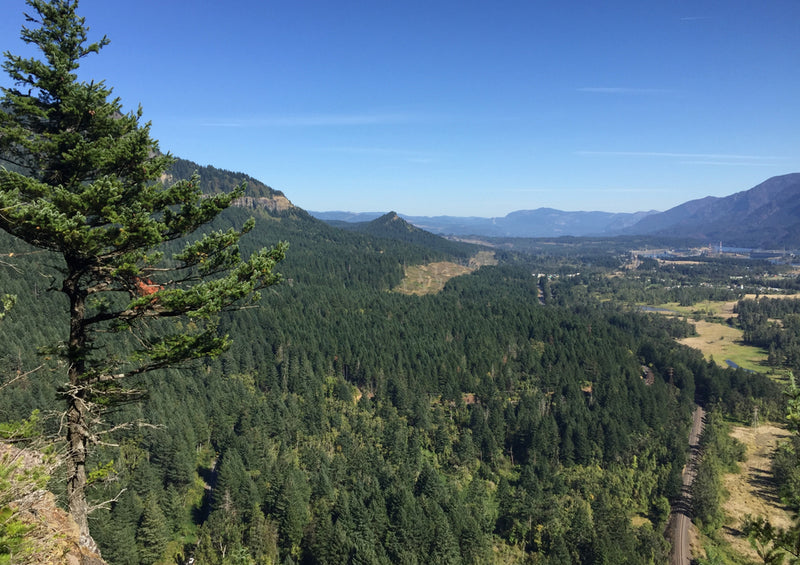 81237 Natur - Oregon