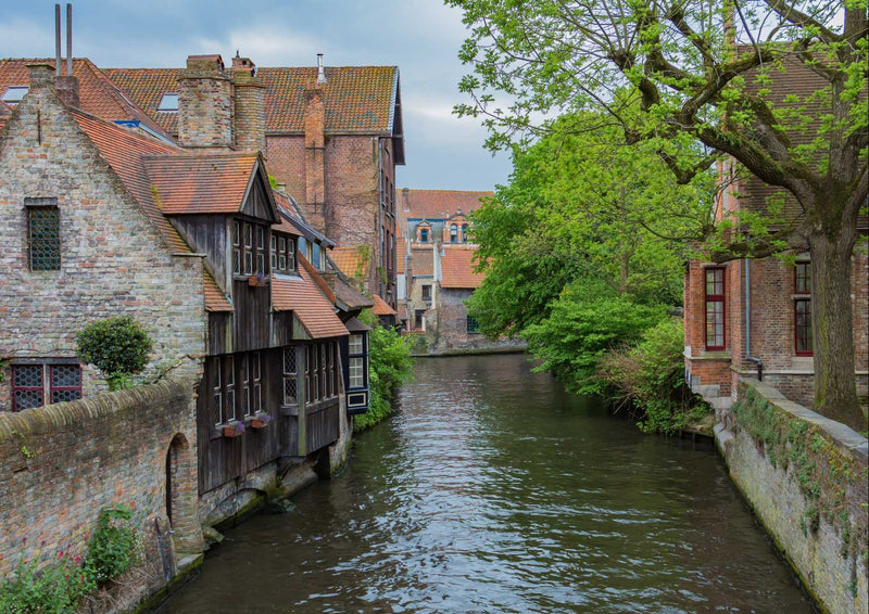 105516 Natur - Historische Stadt