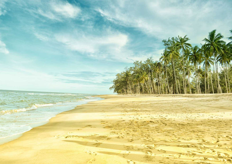 99450 Natur - Tropischer Strand