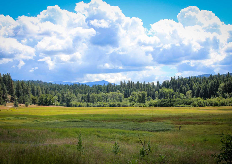 102324 Natur - Grüne Landschaft