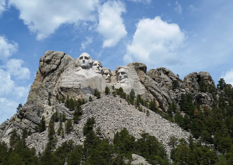 102446 Reisen - Mount Rushmore