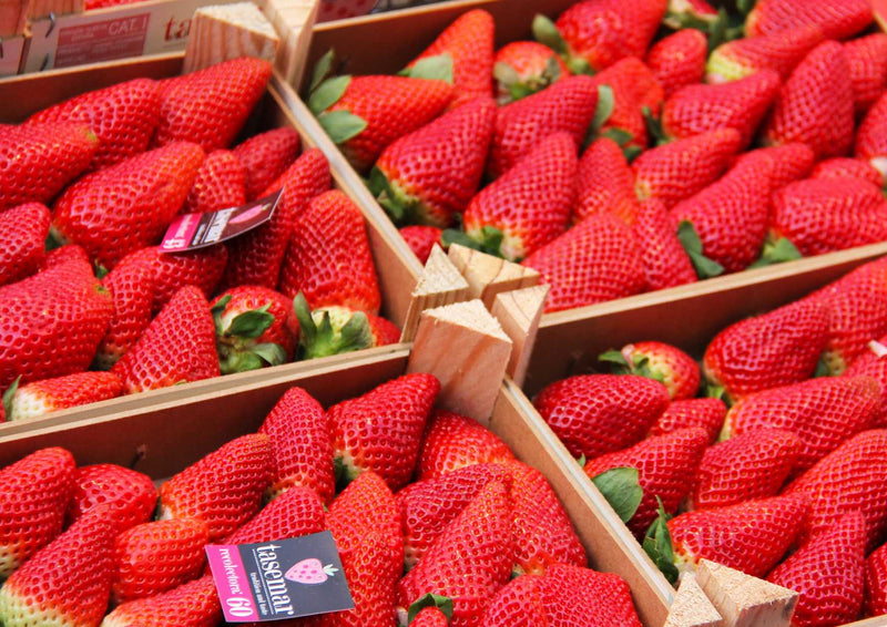 105740 Ernährung - Erdbeeren