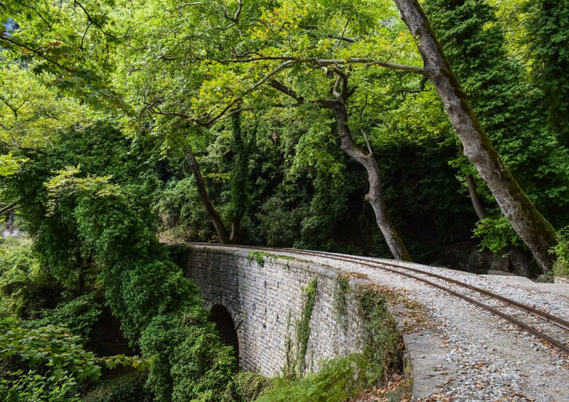 109040 Natur - Brücke