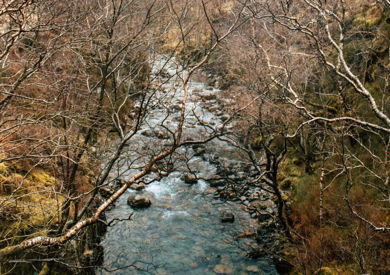 94918 Natur - Fluss