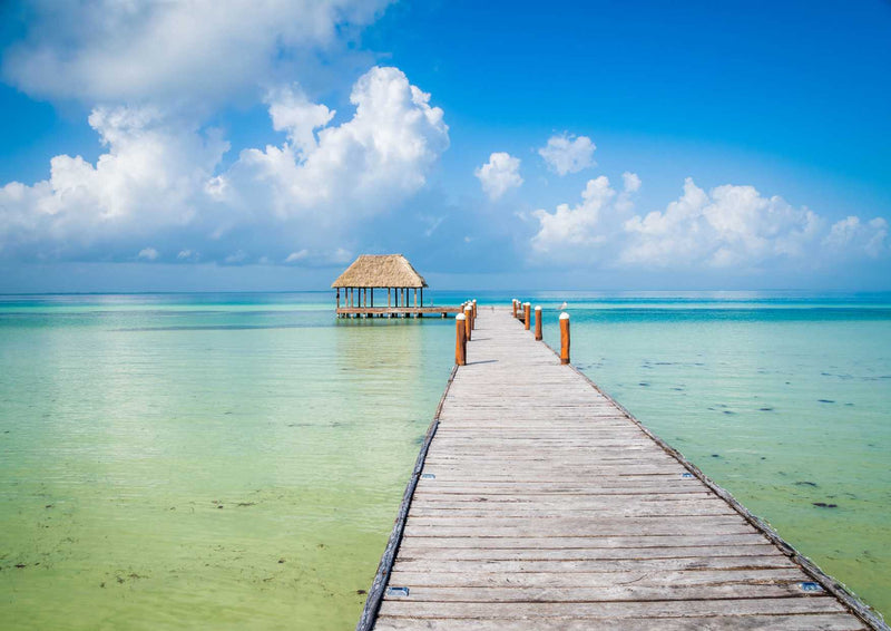 99890 Natur - Isla Holbox