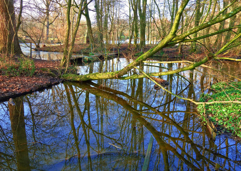 100673 Natur - Bach im Wald