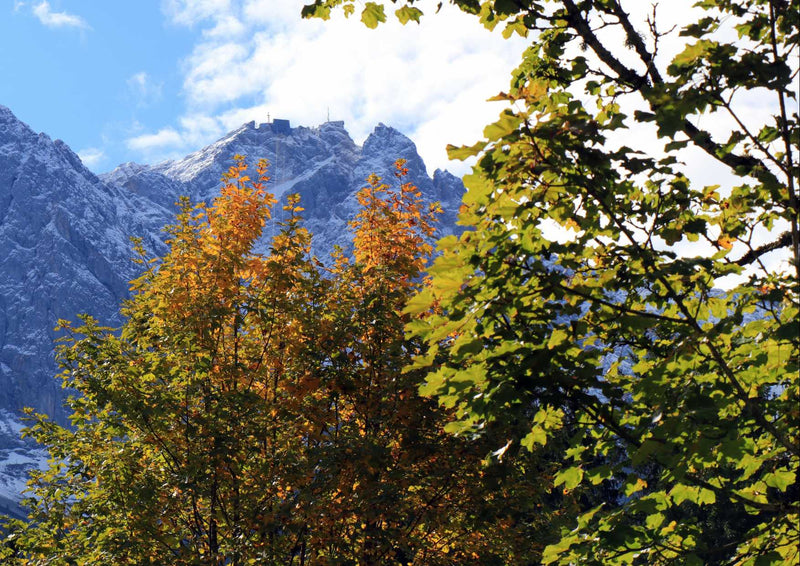 104000 Natur - Bäume