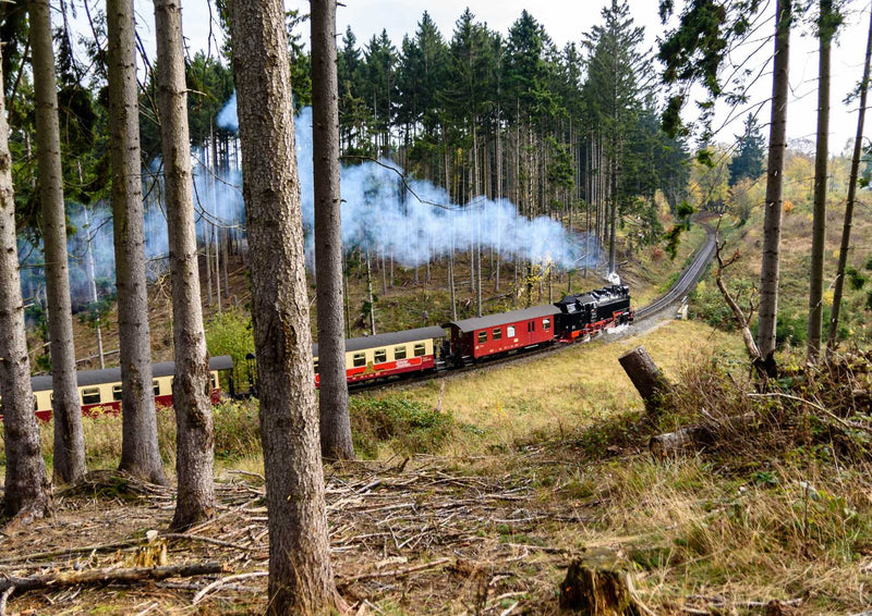 100930 Reisen - Dampflokomotive