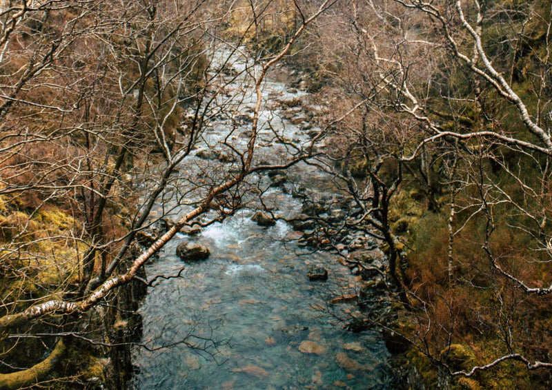 97904 Natur - Fluss