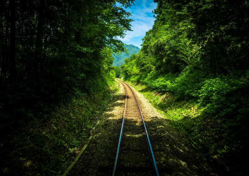 109081 Reisen - Eisenbahnschiene