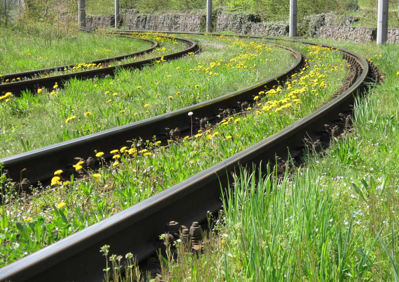 109077 Reisen - Bahnschienen